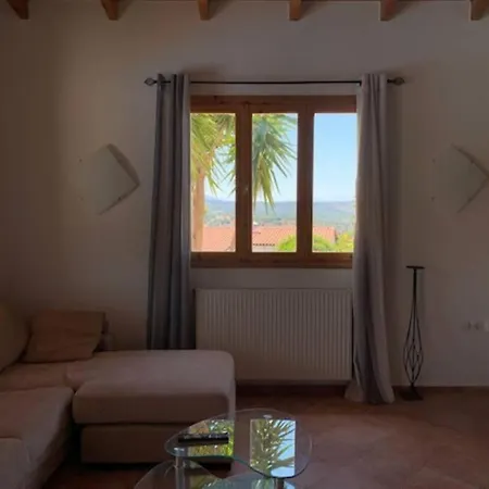Villa Yucca Palm