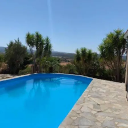 Villa Yucca Palm *