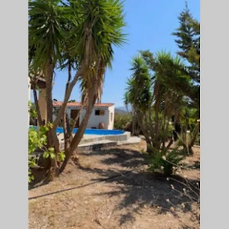 Villa Yucca Palm *
