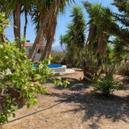 Villa Yucca Palm *